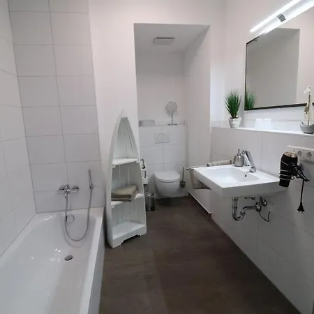 Sea Eagle In The Molenhuus