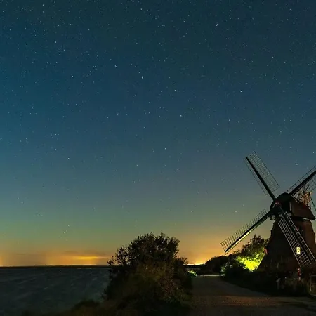 Sea Eagle In The Molenhuus Kappeln