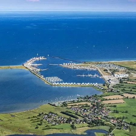 Sea Eagle In The Molenhuus * Kappeln