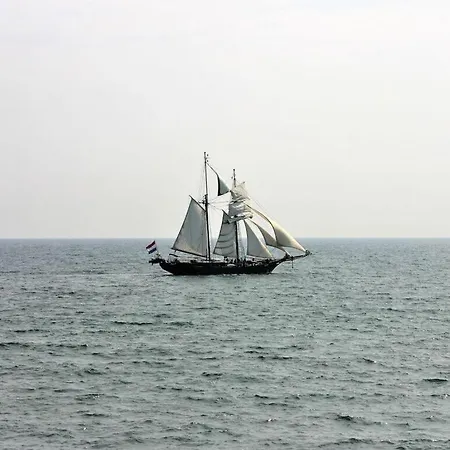 Sea Eagle In The Molenhuus Nyaraló