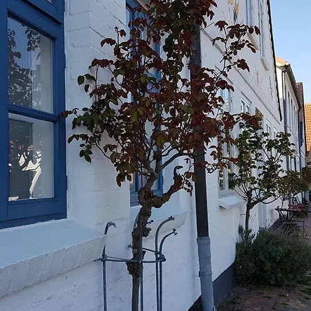 Nyaraló Sea Eagle In The Molenhuus *