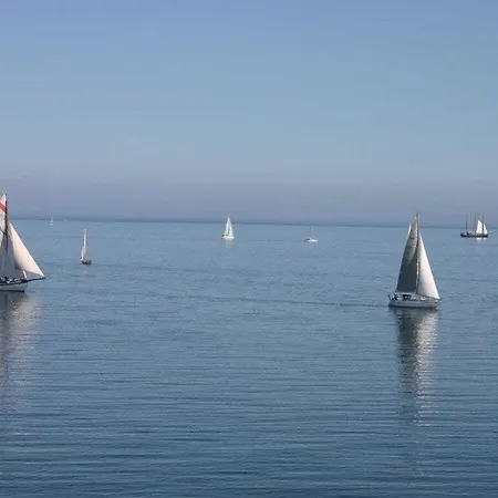 Sea Eagle In The Molenhuus Nyaraló *