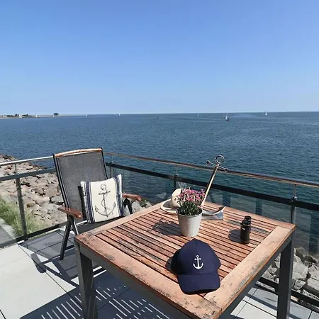 Sea Eagle In The Molenhuus *