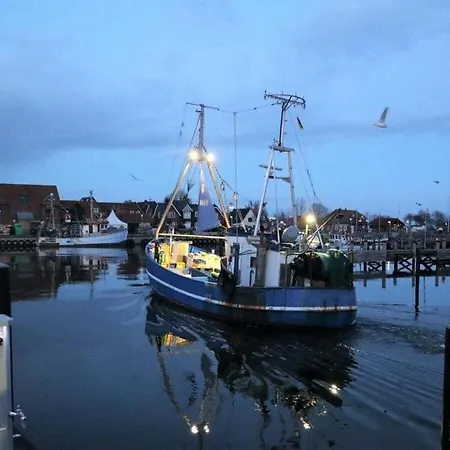 Sea Eagle In The Molenhuus Kappeln