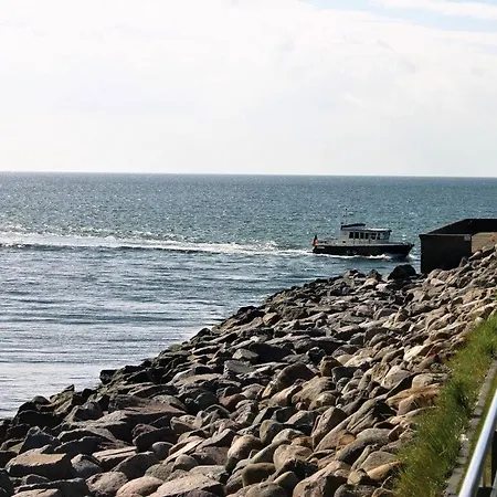 Sea Eagle In The Molenhuus Kappeln