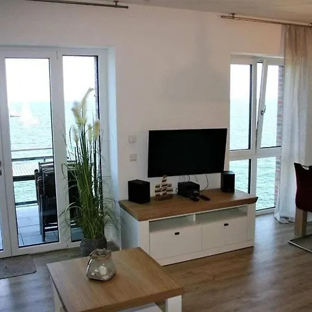 Sea Eagle In The Molenhuus *