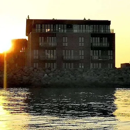 Sea Eagle In The Molenhuus