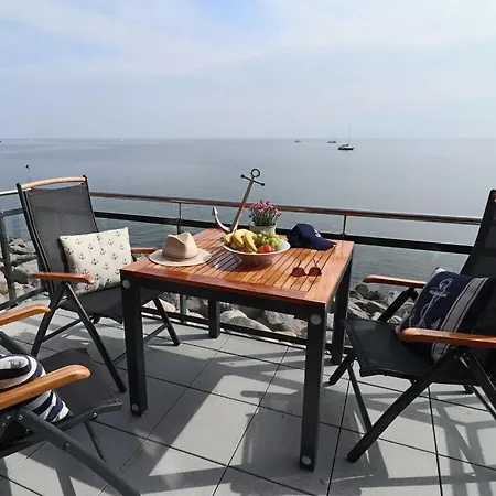 Sea Eagle In The Molenhuus Nyaraló