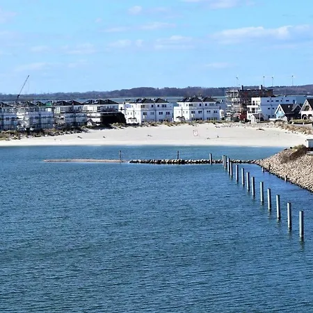 Sea Eagle In The Molenhuus