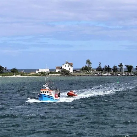Sea Eagle In The Molenhuus