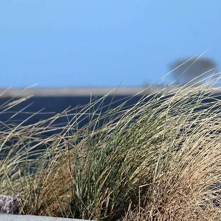 Sea Eagle In The Molenhuus