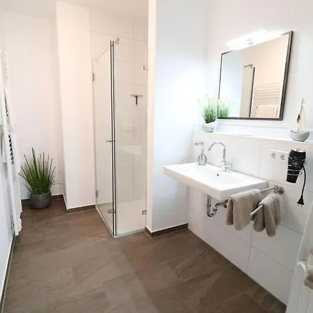 Sea Eagle In The Molenhuus Kappeln